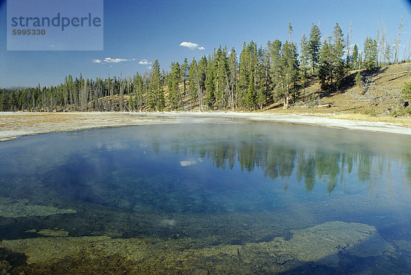Beauty Geysir Nordamerika UNESCO-Welterbe Yellowstone Nationalpark Wyoming