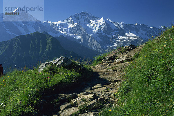 Zeigen Sie auf Weg zum Schnee bedeckte Gipfel der Jungfrau  Schynige Platte  in der Nähe von Interlaken  Bern  Schweiz  Europa an