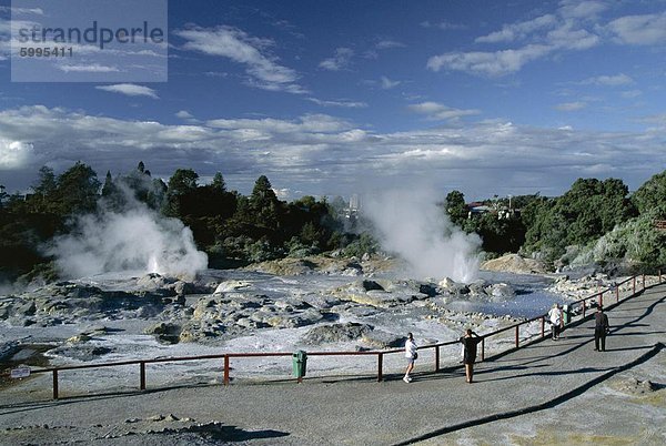 Ausbrechende Geysire und mineralischen Terrassen  Whakarewarewa thermal-Bereich  Rotorua  Manukau  North Island  Neuseeland  Pazifik