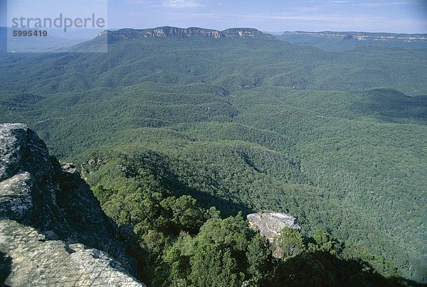 Eukalyptus Öl Dunst verursacht herumgereist oberhalb der dichten Gum Wald in das Jamison Valley in der Blue Mountains National Park  UNESCO-Weltkulturerbe  südlich von Katoomba  New South Wales (NSW)  Australien  Pazifik