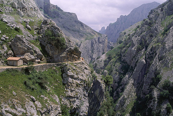 Der kümmert sich Schlucht  1000m Tiefe  12 km lang  Kalkstein  Picos de Europa  Kantabrien  Spanien  Europa
