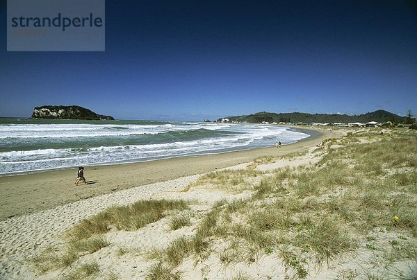 Strand an der Ostküste der Coromandel-Halbinsel  South Auckland  Nordinsel  Neuseeland  Pazifik