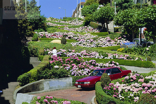 Senkung der Lombard Street  die crookedest Straße der Welt  Russian Hill  San Franscisco  Kalifornien  USA