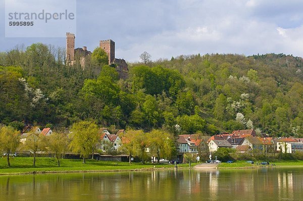 Die Ruine der Burg Henneburg  Stadtprozelten auf dem Main  Franken  Bayern  Deutschland  Europa
