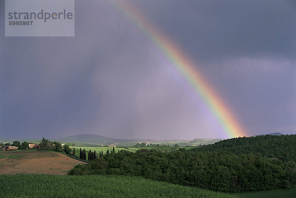 Regenbogen nach einem Sturm  Trequanda  in der Nähe von Asciano  Toskana  Italien  Europa