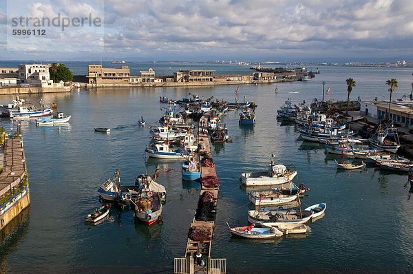 Der Hafen von Algier  Nordafrika  Afrika