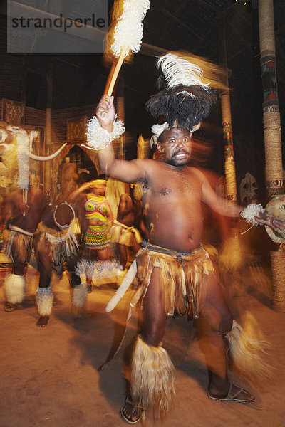 Traditionelle Zulu Tanz  Tänzer Shakaland  Eshowe  Zululand  KwaZulu-Natal  Südafrika  Afrika