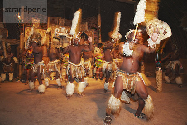 Traditionelle Zulu Tanz  Tänzer Shakaland  Eshowe  Zululand  KwaZulu-Natal  Südafrika  Afrika