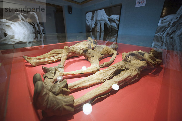 Staatliche Museo de Las Momias (Mumien Museum)  Guanajuato  Guanajuato  Mexiko  Nordamerika