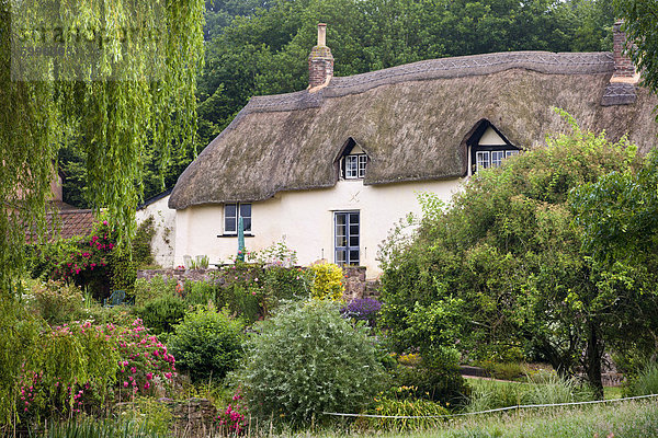 Europa Großbritannien Devon England