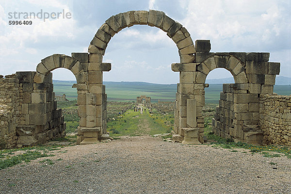 Volubilis  UNESCO World Heritage Site  Marokko  Nordafrika  Afrika