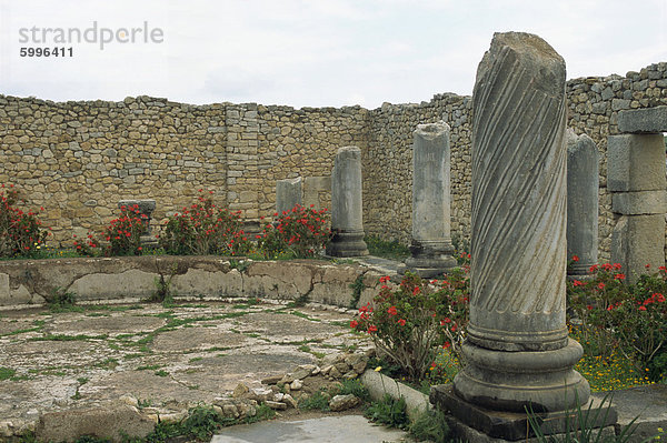 Volubilis  UNESCO World Heritage Site  Marokko  Nordafrika  Afrika