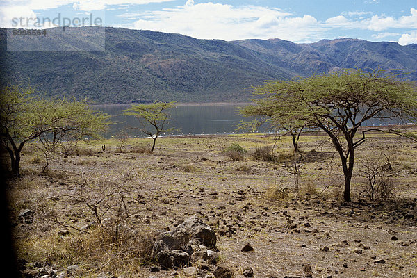 Bogoriasee  Kenia  Ostafrika  Afrika