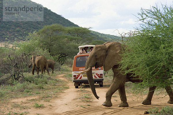 Samburu National Reserve  Kenia  Ostafrika  Afrika