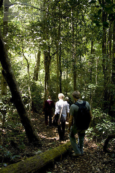 Trekking durch den Wald  Thekkady  Kerala  Indien  Asien