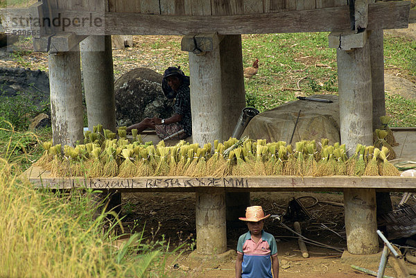 Toraja Region  Sulawesi  Indonesien  Südostasien  Asien