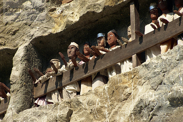 Lemo Klippe Gräber  Toraja Bereich  Sulawesi  Indonesien  Südostasien  Asien