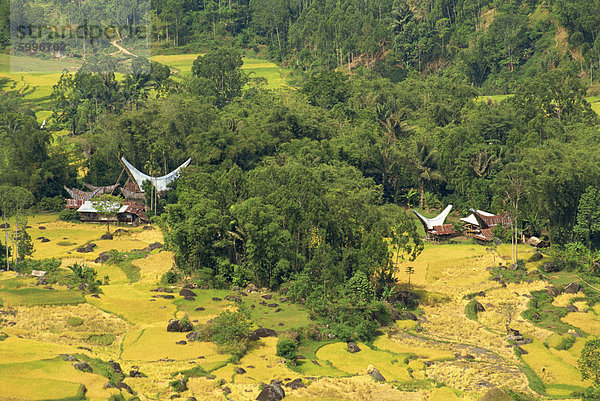 Tal  Toraja Bereich  Sulawesi  Indonesien  Südostasien  Asien