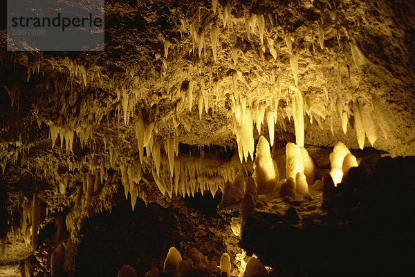 Harrisons Cave  Barbados  Antillen  Karibik  Mittelamerika