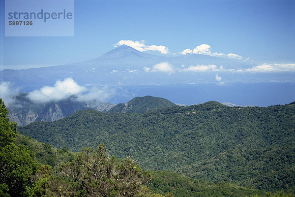 Nationalpark Garajonay  UNESCO-Weltkulturerbe  mit Teneriffa im Hintergrund  La Gomera  Kanaren  Spanien  Atlantik  Europa Garajonay Nationalpark