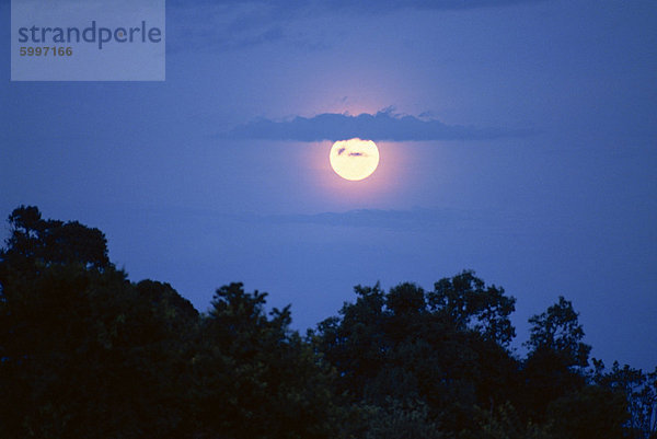 Mond  Kenia  Ostafrika  Afrika