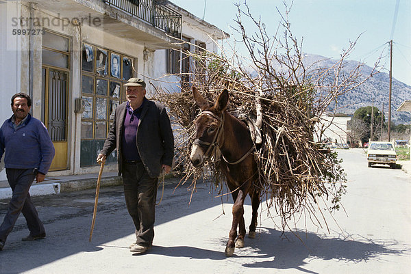 Feuerholz Esel Europa Mann tragen Kreta Griechenland Griechische Inseln alt