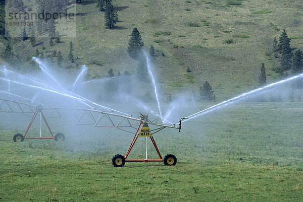 Pivot-Bewässerung-System  British Columbia  Kanada  Nordamerika