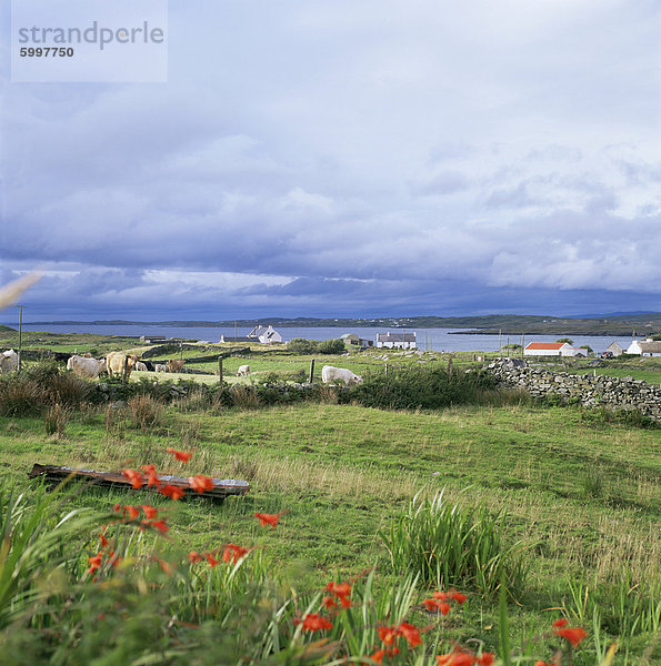 Landschaft bei Ardara  County Donegal  Ulster  Eire (Irland)  Europa