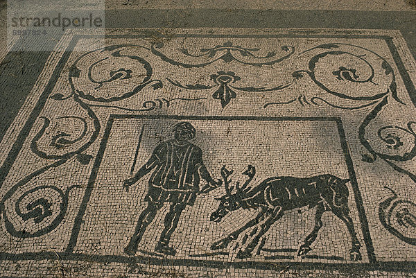 Mosaik Handels-Embleme  Piazzale Delle Corporazioni  Ostia Antica  Lazio  Italien  Europa