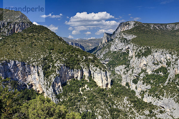 Schlucht Du Verdon  Provence  Frankreich  Europa