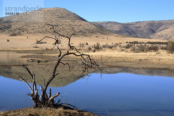 Mankwe Dam  zentralen See in den Pilanesberg National Park  North West Province  Südafrika  Afrika