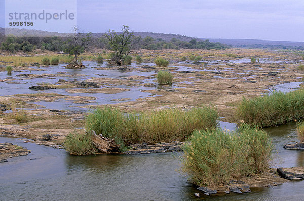 Olifants River  Krüger Nationalpark  Südafrika  Afrika