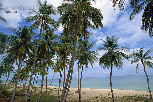 Palmen und einsamen Strand auf der Südseite der Phu Quoc Insel in Süd/west  Vietnam  Indochina  Südostasien  Asien