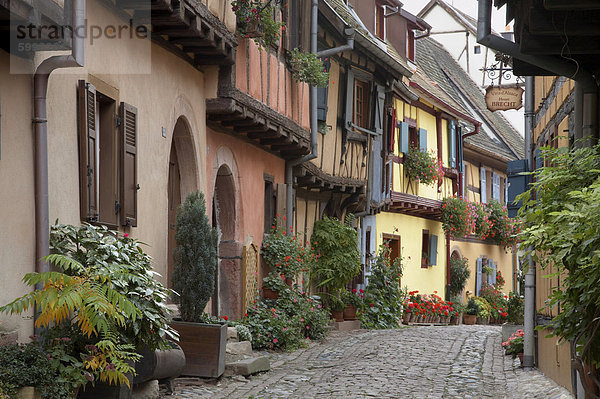 Frankreich Europa Tradition Gebäude Straße Dorf reizen Elsass Hälfte