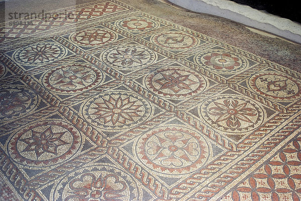 Mosaik aus Überresten der römischen Villa  St. Albans  Hertfordshire  England  Vereinigtes Königreich  Europa