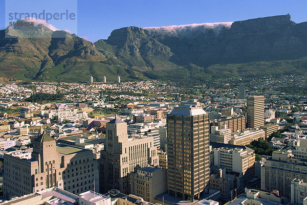 Tafelberg  Cape Town  Südafrika  Afrika