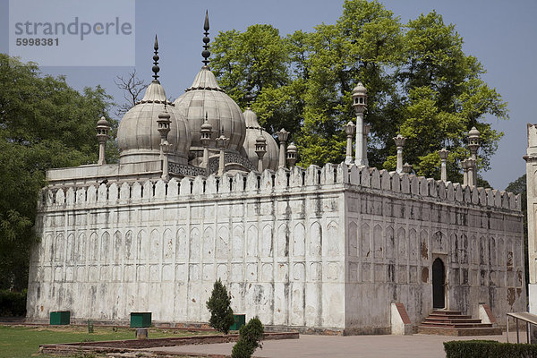 Moti Masjid Moschee  Red Fort  UNESCO Weltkulturerbe  Old Delhi  Indien  Asien