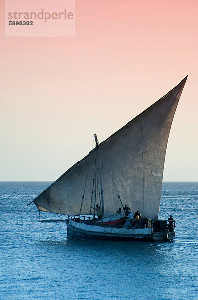 Einem traditionellen hölzernen Dhow Segeln in der Nähe von Stone Town bei Sonnenuntergang  Sansibar  Tansania  Ostafrika  Afrika