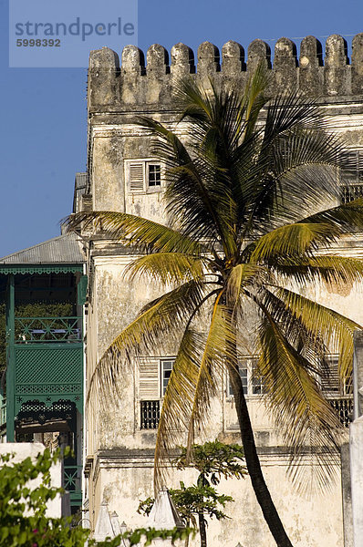 Eine Palme vor alten Gebäuden am Wasser  Stone Town  UNESCO Weltkulturerbe  Sansibar  Tansania  Ostafrika  Afrika