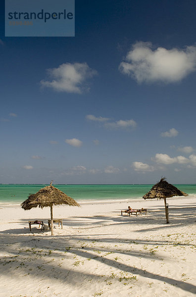 Brückensystem Sonnenschirme und Palm-Baum Schatten am Strand von Paje  Zanzibar  Tansania  Ostafrika  Afrika