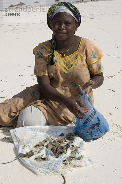 Lokalen Frau am Strand Muscheln  Paje  Zanzibar  Tansania  Ostafrika  Afrika sortieren