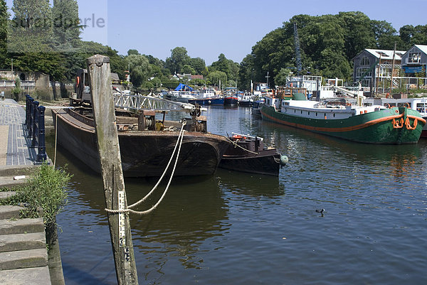 Blick auf die Themse gegenüber Eel Pie Insel  nahe Richmond  Surrey  England  Vereinigtes Königreich  Europa