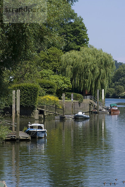 Blick auf den Fluss Themse in der Nähe von York House  Richmond  Surrey  England  Vereinigtes Königreich  Europa