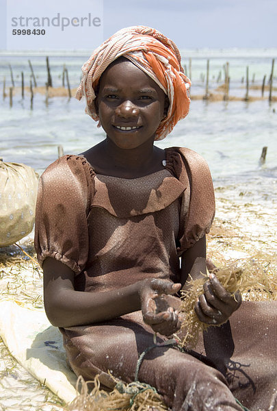 Ein junges Mädchen in einem bunten Kopftuch ernten Algen  Paje  Zanzibar  Tansania  Ostafrika  Afrika