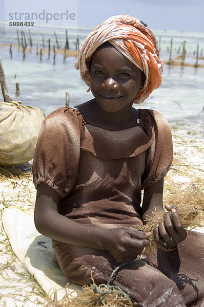 Ein junges Mädchen in einem bunten Kopftuch ernten Algen  Paje  Zanzibar  Tansania  Ostafrika  Afrika