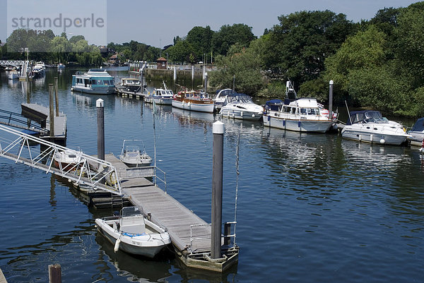 Die Boot-Marina auf der Themse in London  in der Nähe von Richmond  Surrey  England  Vereinigtes Königreich  Europa