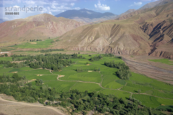 Reisfelder und Abtreppung in einem Tal in der afghanischen Region  Iran  Mittlerer Osten