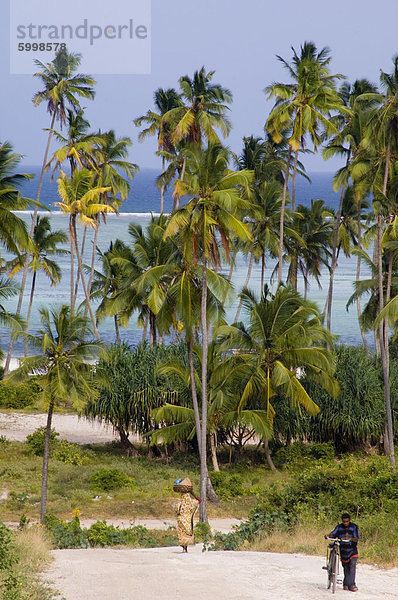 Palmen und Meer in Matemwe  Zanzibar  Tansania  Ostafrika  Afrika