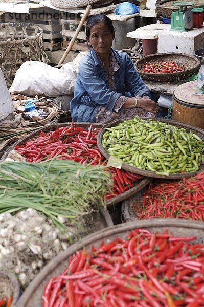 Händler verkaufen Chilischoten am Dong Ba Markt  Hue  Vietnam  Indochina  Südostasien  Asien