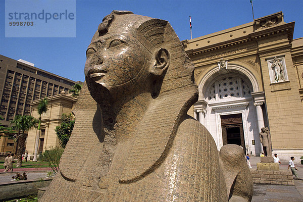 Sphinx außerhalb der ägyptischen Museum  Kairo  Ägypten  Nordafrika  Afrika